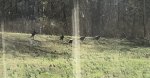 44192C98-EE4D-4209-99CC-5C648820360E.jpeg
