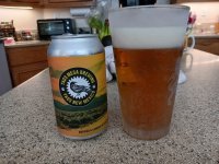 mesa-ipa.jpg