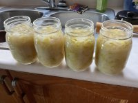IMG_1494.jpeg