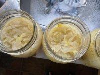 IMG_1495.jpeg