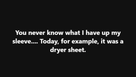 dryer sheet meme.png