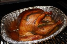IMG_1445.JPG IMG_1445.JPG
