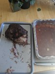 IMG_20200809_151753.jpg
