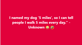 1745327164630.png