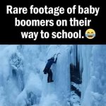FB_IMG_1740936894272.jpg
