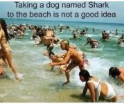 IMG_1750.jpeg