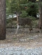 IMG_5364.jpeg