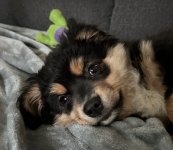 IMG_7871.jpeg