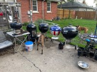 IMG_1693.jpeg
