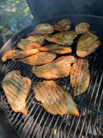 IMG_7878.jpeg