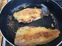 IMG_1618.jpeg
