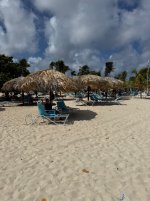 IMG_8060.jpeg