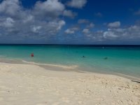 IMG_8063.jpeg