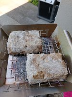 IMG_20250513_145658.jpg