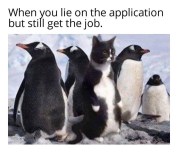 1747837792823.png