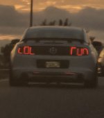 IMG_4385.jpeg