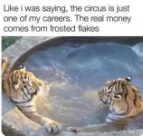 1748006470405.jpeg