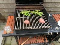 IMG_1341.jpeg