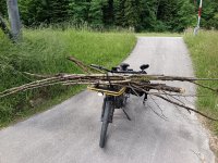 IMG_20250524_111955.jpg