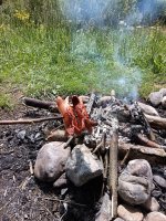 IMG_20250524_120612.jpg