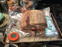 IMG_1352.jpeg