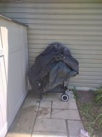 IMG_20250525_135951675.jpg