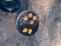 IMG_6510.jpeg