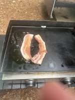IMG_6535.jpeg