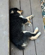 IMG_7944.jpeg