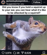 1748267323513.png