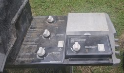 Green Silver C pic 3.jpg