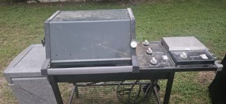 Green Silver C pic 1.jpg