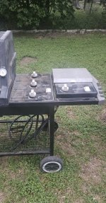Green Silver C pic 4.jpg