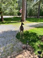 IMG_8001.jpeg