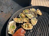 IMG_5755.jpeg