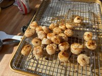 IMG_5768.jpeg