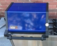 Blue Lid, Grill Out Light Handle.jpg
