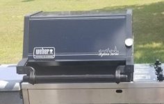 Skyline Lid, Grill Out Light Handle.jpg