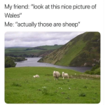 1749050119420.png