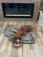 IMG_6622.jpeg