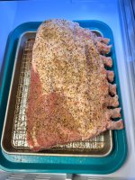 IMG_8061.jpeg