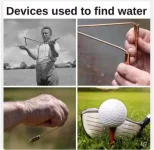 Finding water.webp