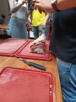 IMG_20250610_200032.jpg