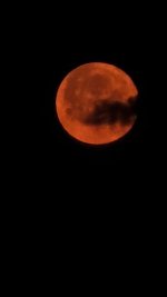 IMG_20250613_151016.jpg