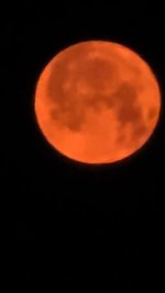 IMG_20250613_151022.jpg
