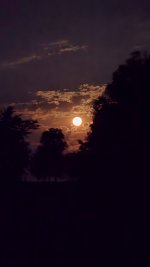 IMG_20250613_151048.jpg