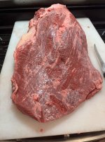 IMG_8495.jpeg