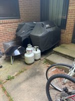IMG_9464.jpeg