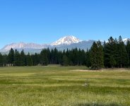 IMG_8130.jpeg