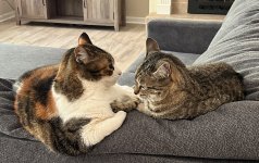 IMG_8158.jpeg